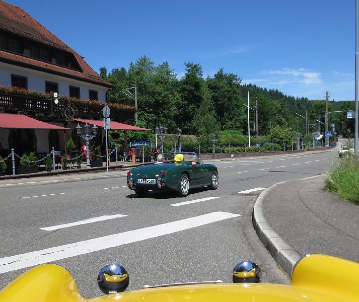 ZONDAG 16-6-2013 (101).JPG